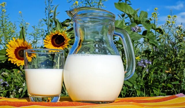 Protein Tozu Yararları Ve Zararları