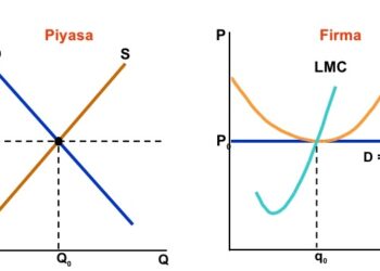Tam Rekabet Piyasası Nedir, Tam Rekabet Piyasası Koşulları Nelerdir?