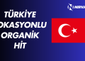 Türkiye Lokasyonlu Organik Hit Satın Al