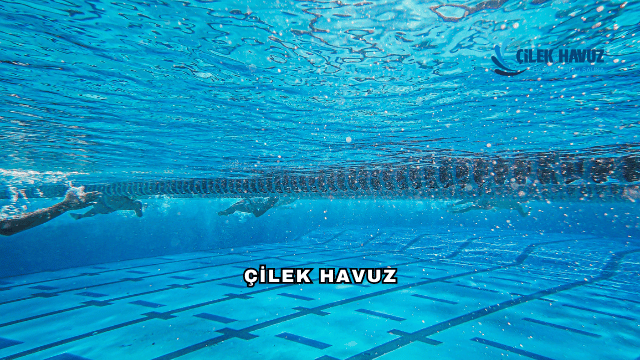 Çilek Havuz Hakkında