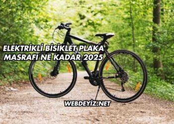 Elektrikli Bisiklet Plaka Masrafı Ne Kadar 2025