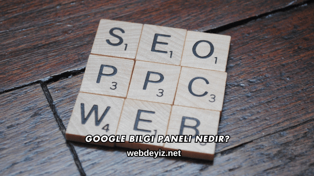 Google Bilgi Paneli Nedir?
