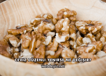Ceviz Düzenli Yenirse Ne Değişir?