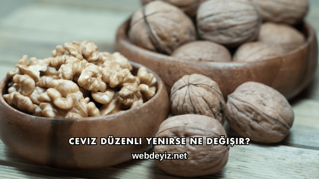 Ceviz Düzenli Yenirse Ne Değişir?