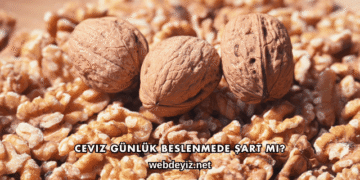Ceviz Günlük Beslenmede Şart mı?