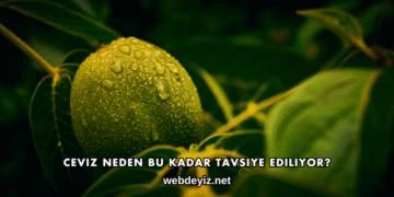 Ceviz Neden Bu Kadar Tavsiye Ediliyor?
