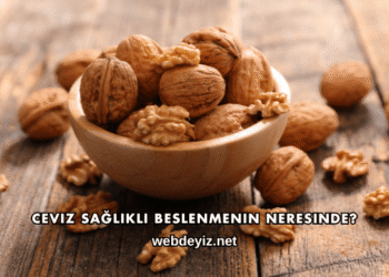 Ceviz Sağlıklı Beslenmenin Neresinde?