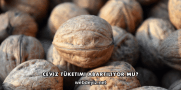Ceviz Tüketimi Abartılıyor mu?