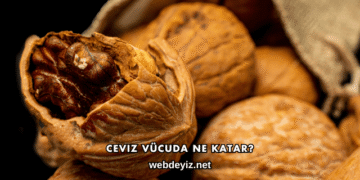 Ceviz Vücuda Ne Katar?