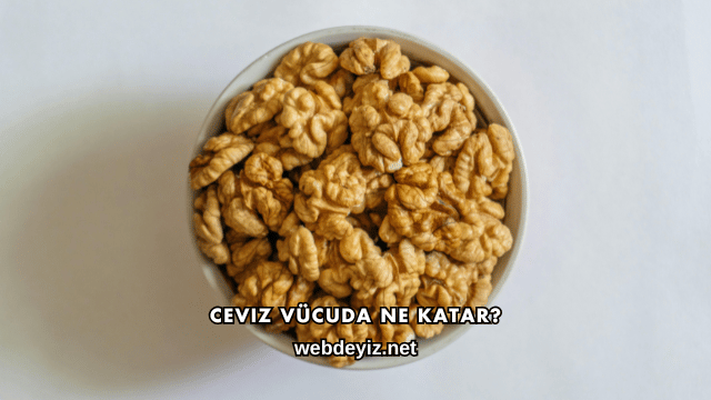 Ceviz Vücuda Ne Katar?
