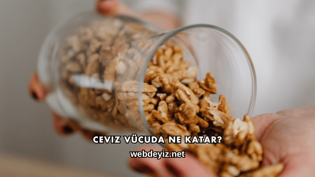 Ceviz Vücuda Ne Katar?