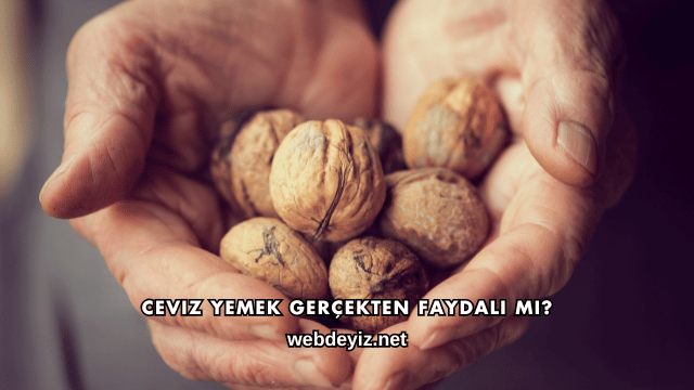 Ceviz Yemek Gerçekten Faydalı mı?