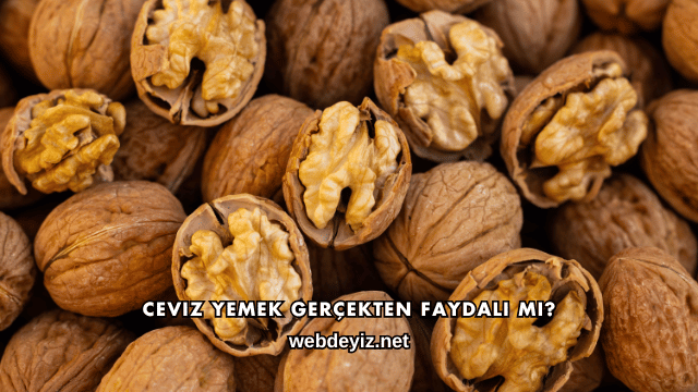 Ceviz Yemek Gerçekten Faydalı mı?