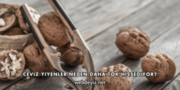 Ceviz Yiyenler Neden Daha Tok Hissediyor?