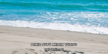 Deniz Suyu Neden Tuzlu?