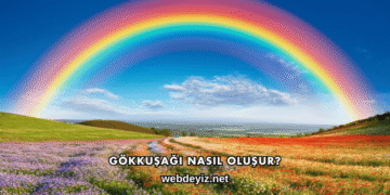 Gökkuşağı Nasıl Oluşur?