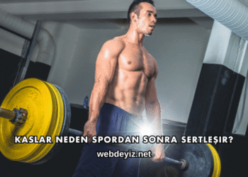 Kaslar Neden Spordan Sonra Sertleşir?