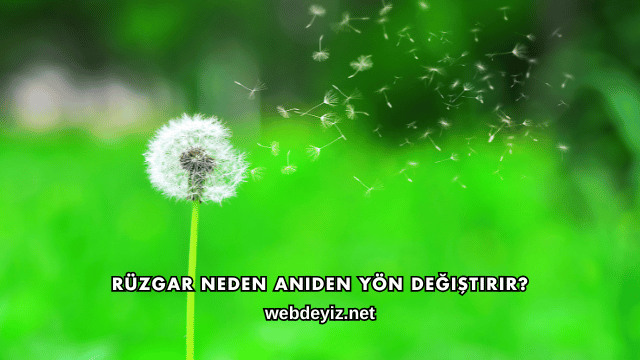 Rüzgar Neden Aniden Yön Değiştirir?