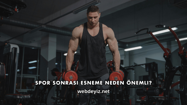 Spor Sonrası Esneme Neden Önemli?
