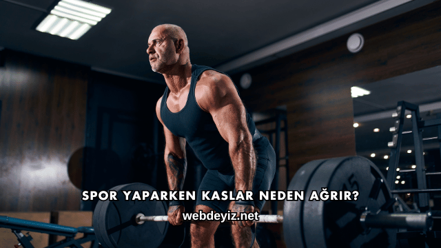 Spor Yaparken Kaslar Neden Ağrır?