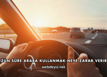 Uzun Süre Araba Kullanmak Neye Zarar Verir?