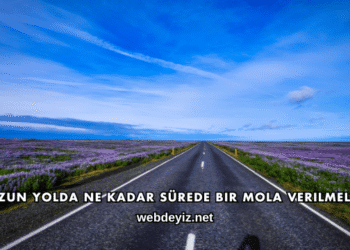 Uzun Yolda Ne Kadar Sürede Bir Mola Verilmeli?